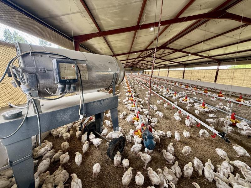 0 Bedroom Property for Sale in Harrismith Free State